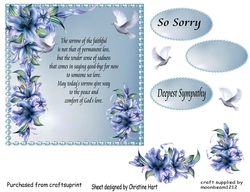 So Sorry