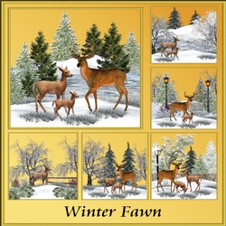 Winter Fawn