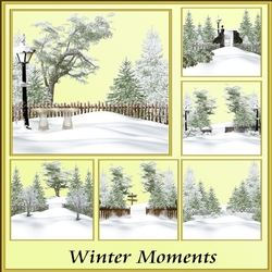 Winter Moments
