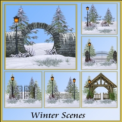 Winter Scenes