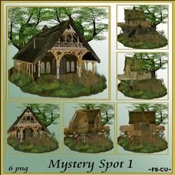 Mystery Spot 1