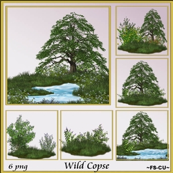 Wild Copse