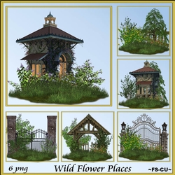 Wild Flower Places
