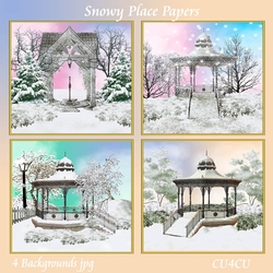 Snowy Place Papers