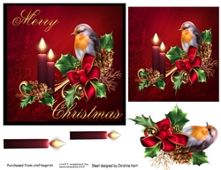 Merry Christmas Robin 1