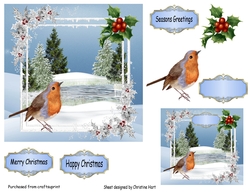 Holly Robin