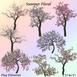Summer Floral