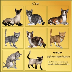 Cats