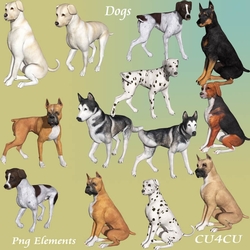 Dogs