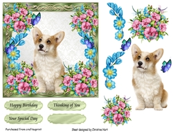 Corgi Birthday