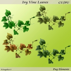 Ivy Vine Leaves
