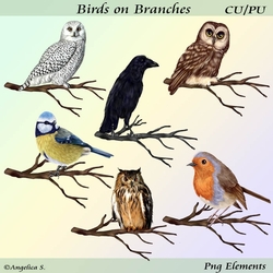 Birds on Branches