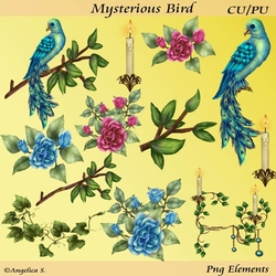 mysterious Bird
