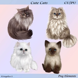 Cute Cats