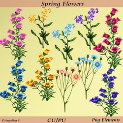 Spring Flowers