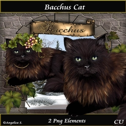 Bacchus Cat 2 x tubes