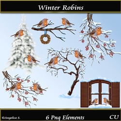 Winter Robins Png