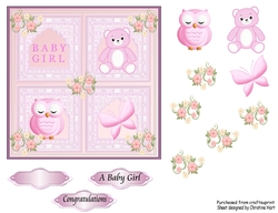 Congratulations A Baby Girl