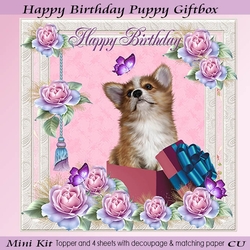 Happy Birthday Puppy Giftbox Mini Kit