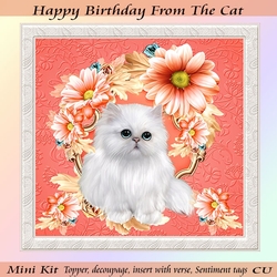 Happy Birthday From The Cat Mini Kit