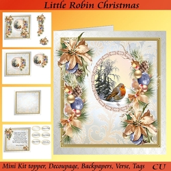 Little Robin Christmas Mini Kit