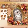 Little Hedgehog Apple Birthday Mini Kit