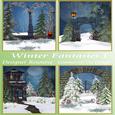 Winter Fantasies 1