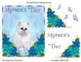 Mothers Day Kitty