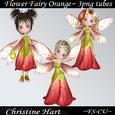 Flower Fairy Orange Png
