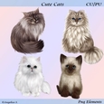 Cute Cats