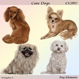 Cute Dogs