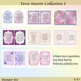 Verse Inserts Collection 1 Bumper Kit