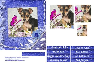 I Am Cutie - Blue Frame - Pyramid