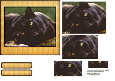 Wild Animal Series - Black Leapord