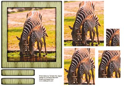 Wild Animals Series - Zebra - Mum and Foal