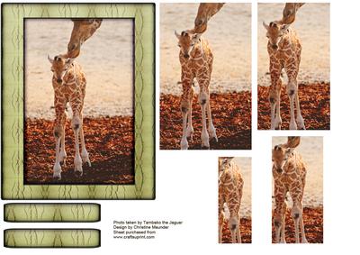 Young Wild Animal Series - Giraffe Calf - First Steps