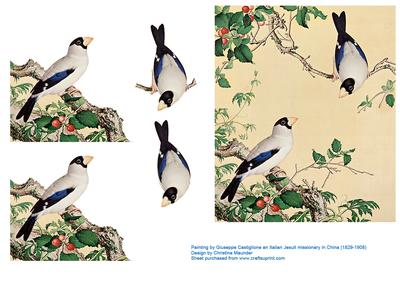 Oriental Birds