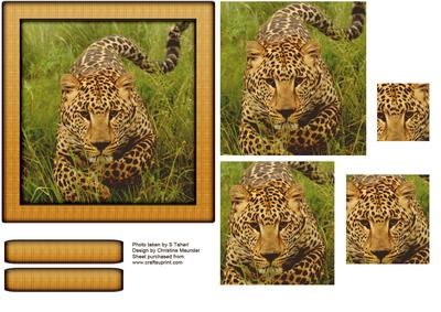 Wild Animal Series - Charging Jaguar