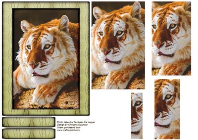 Wild Animal Series - Golden Tiger