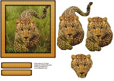 Wild Animal Series - Jaguar - Decoupage