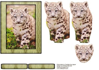 Young Wild Animal Series - Snow Leapord Cub - Decoupage