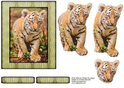 Young Wild Animals Series - Tiger Cub - Decoupage