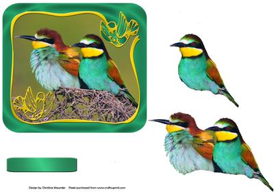 Two Little Birds