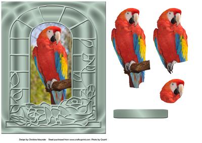 A Scarlet Macaw - Decoupage