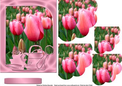 Tulips in the Garden