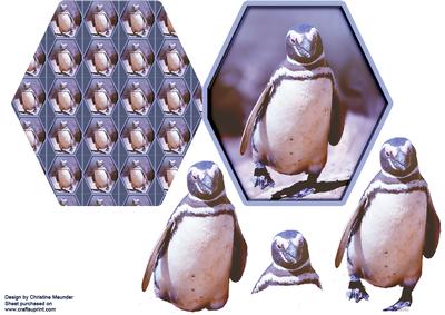 Penguin - Hexagon Decoupage Card