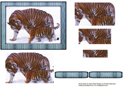 Big Cats Series - Tigress and Cub - Pyramid