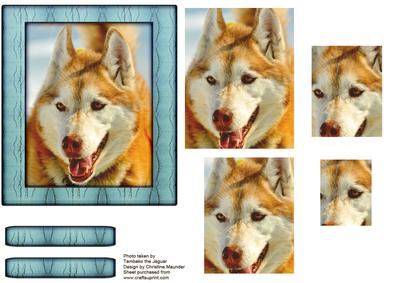 Husky Series - Red Husky - Pyramid
