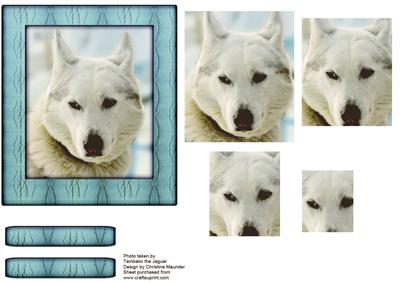 Husky Series - White Husky - Pyramid
