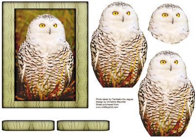 Bird Series - Owl - Decoupage